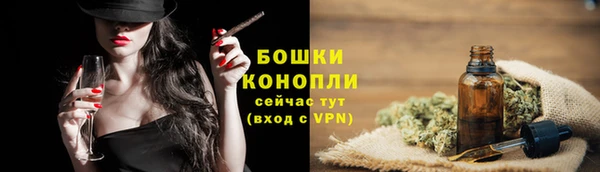 гашик Балахна