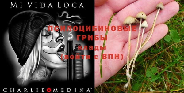 гашик Балахна