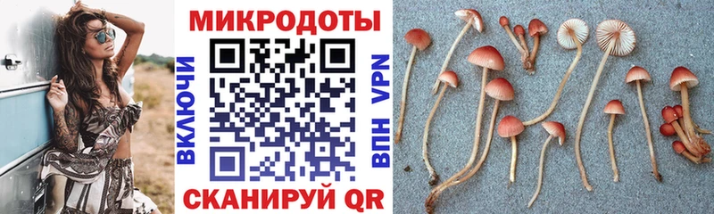 Галлюциногенные грибы Psilocybine cubensis  Бугульма 